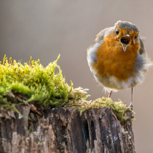 20201126-_DSC7963