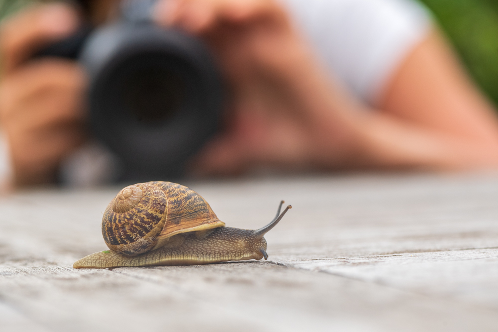 Natuurfotografie Voor Beginners 2023 - Natuurfotografie Tom Linster ...