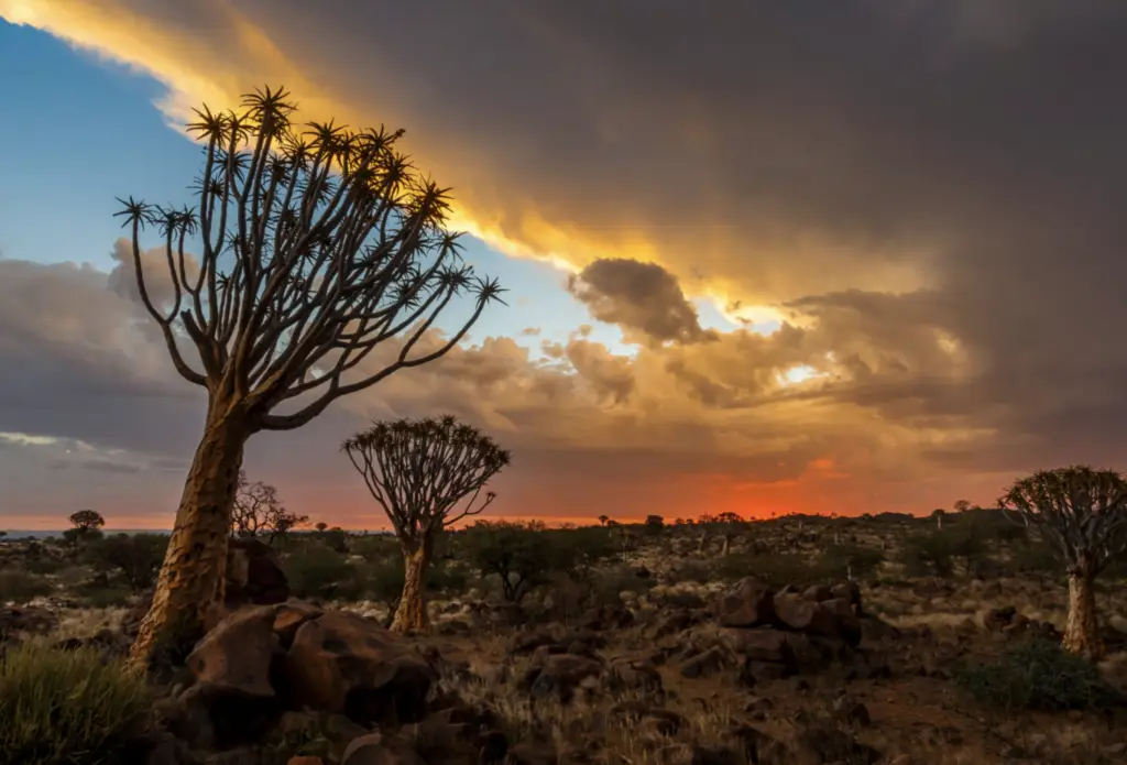 Fotografiereis Namibië met Tom Linster